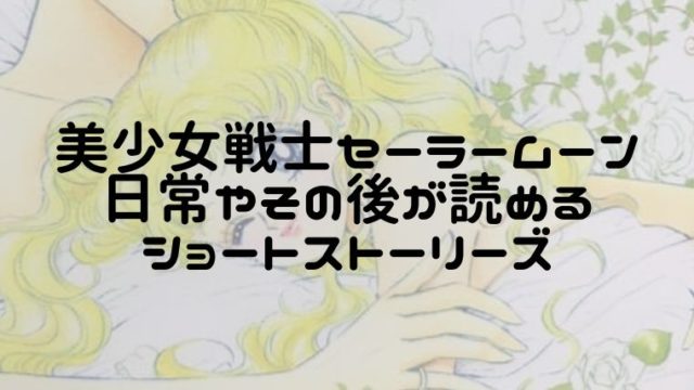 美少女戦士セーラームーンショートストーリーズ続編
