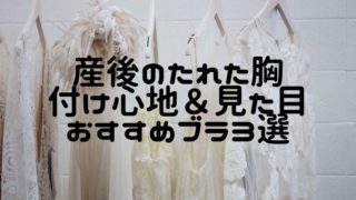 ピカチュウが進化しない理由は サトシの相棒だから えまちブログ