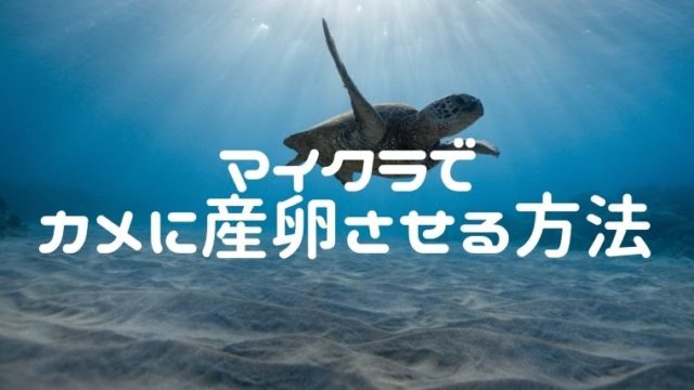 ピカチュウが進化しない理由は サトシの相棒だから えまちブログ ピカチュウが進化しない理由は サトシの相棒だから えまちブログ